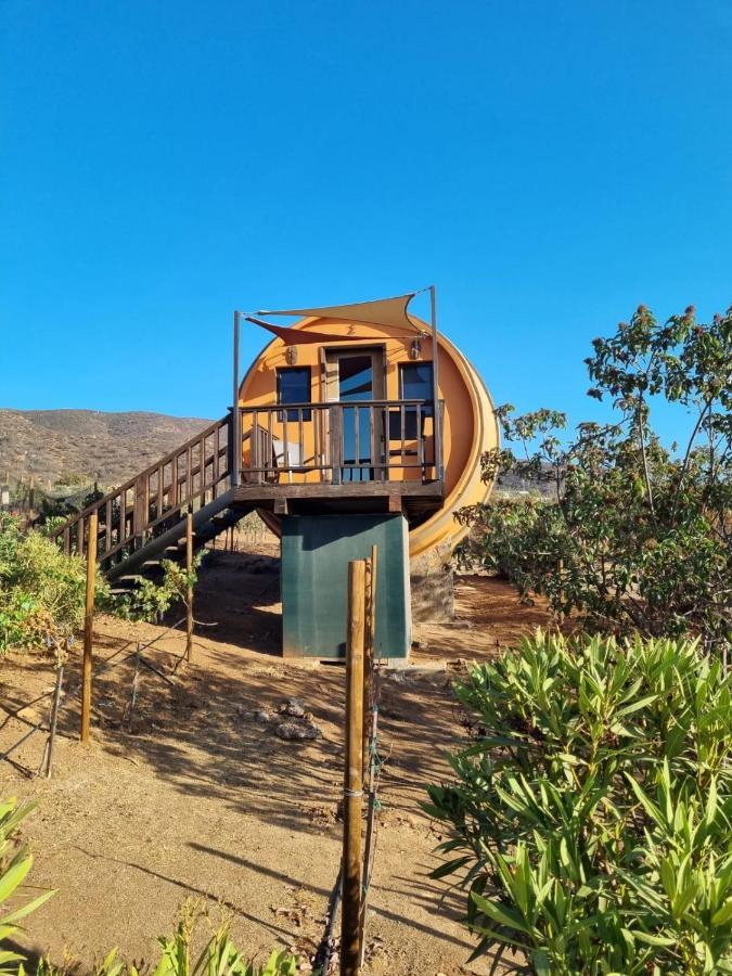 Finca El Mirador Valle de Guadalupe Εξωτερικό φωτογραφία