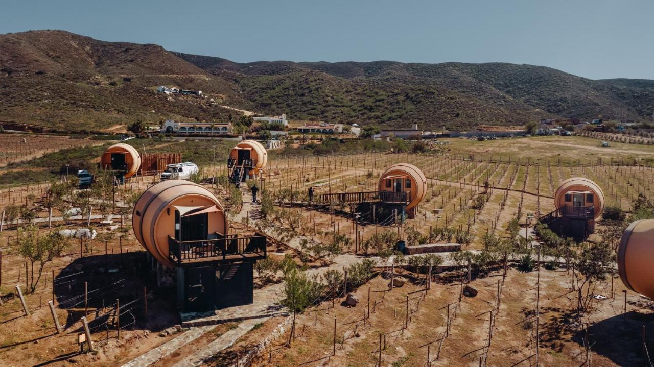 Finca El Mirador Valle de Guadalupe Εξωτερικό φωτογραφία