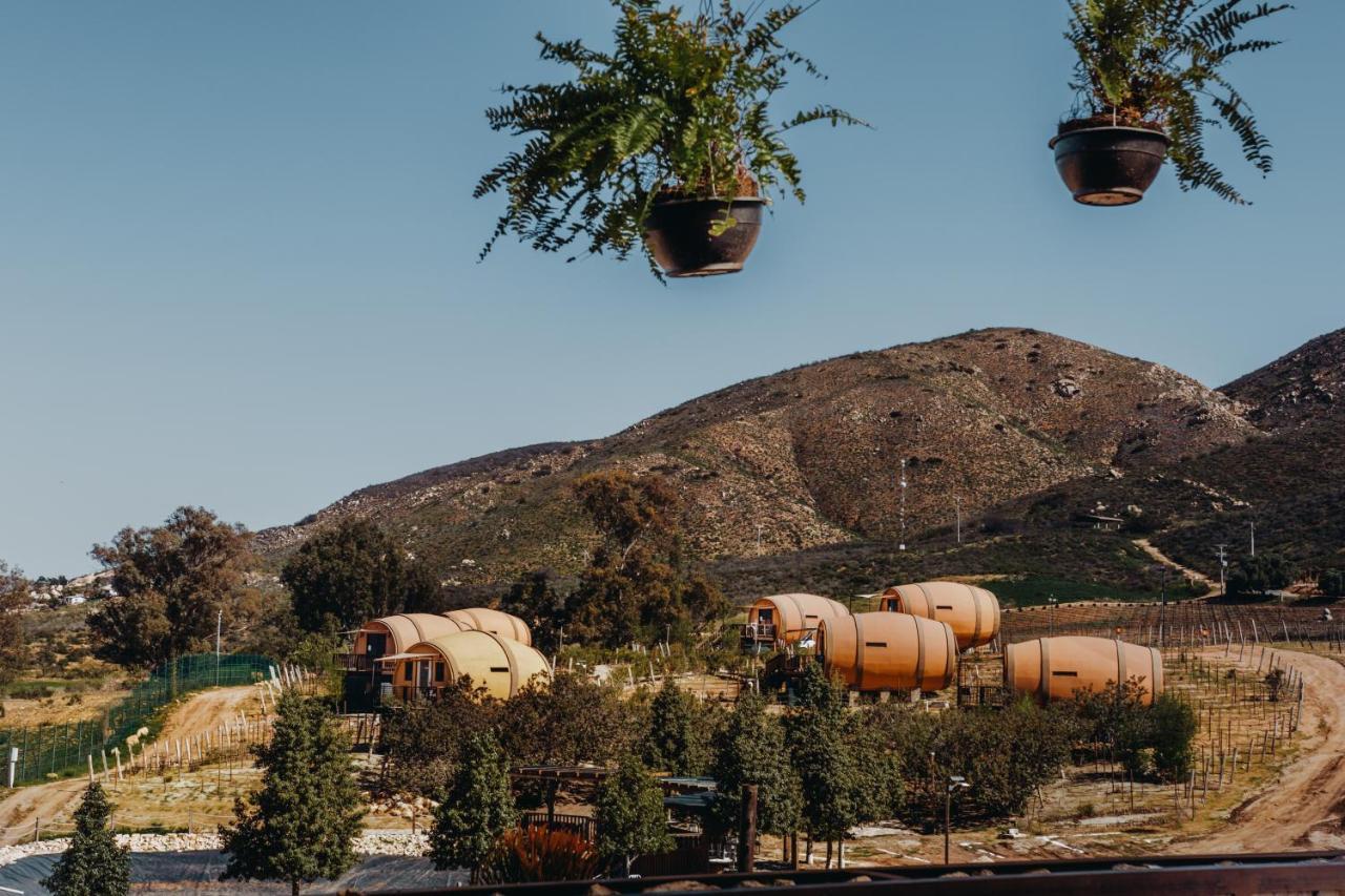 Finca El Mirador Valle de Guadalupe Εξωτερικό φωτογραφία