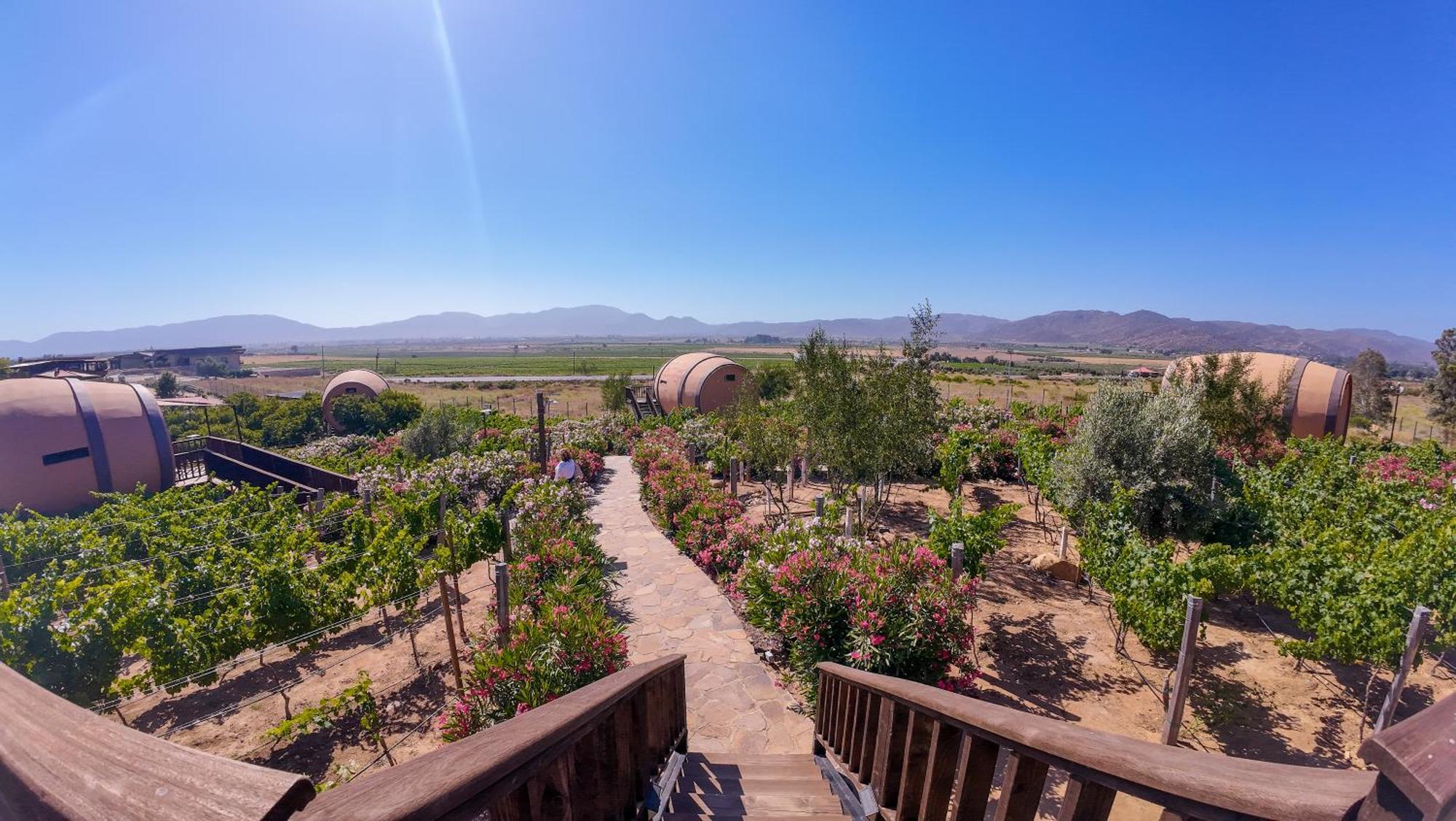 Finca El Mirador Valle de Guadalupe Εξωτερικό φωτογραφία