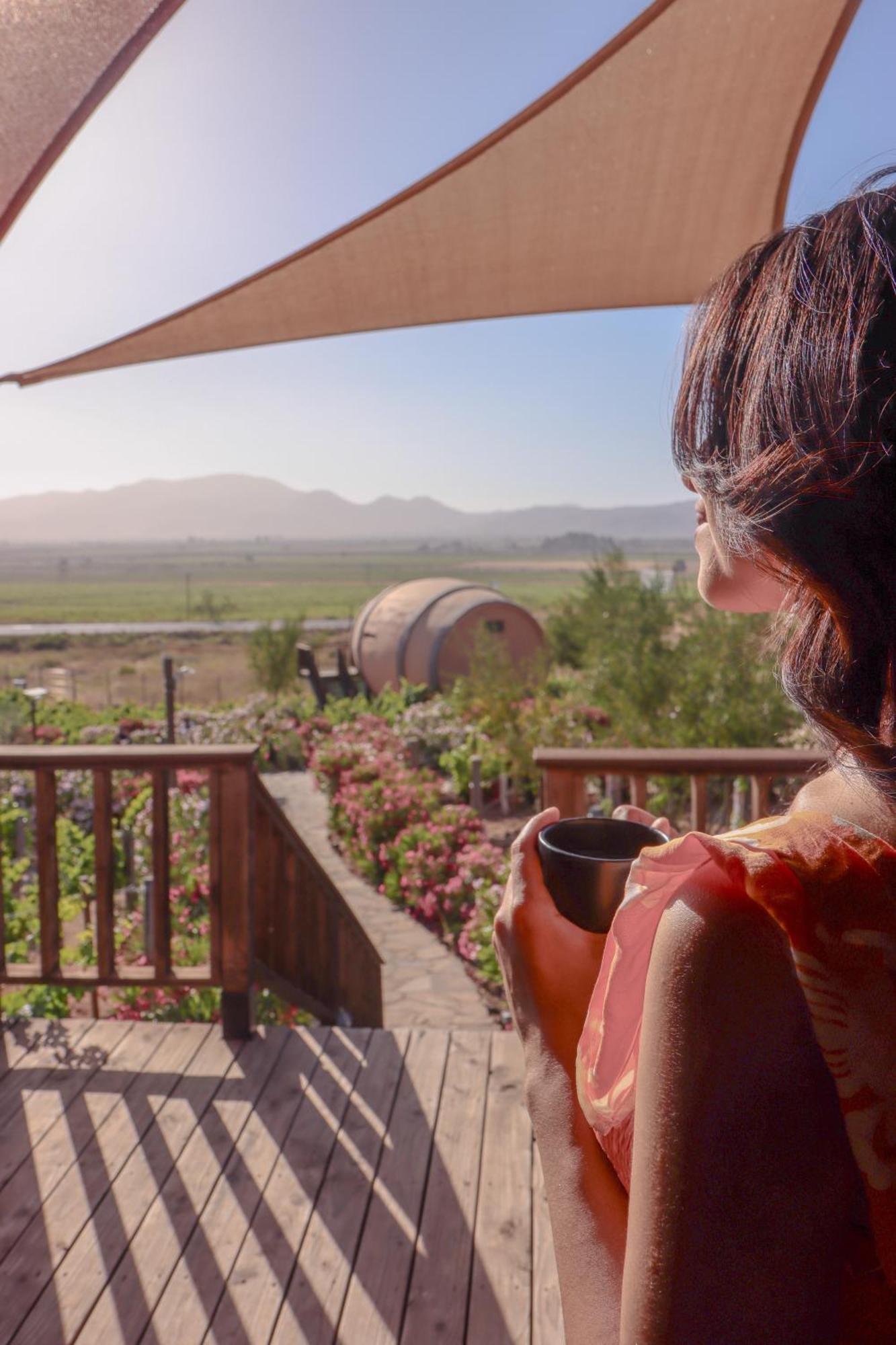 Finca El Mirador Valle de Guadalupe Εξωτερικό φωτογραφία